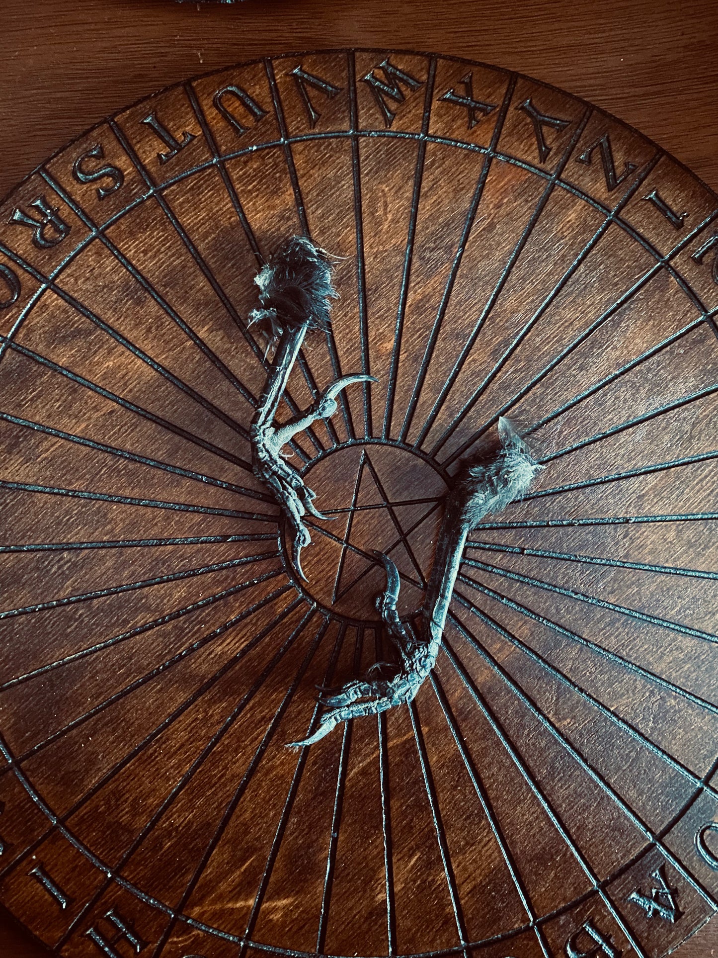 Carrion Crow Foot