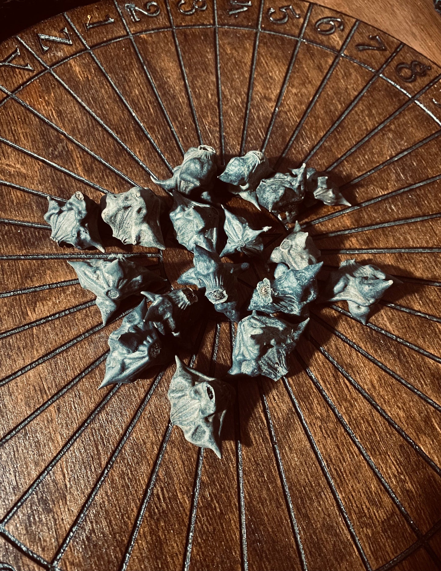 Devil Pods