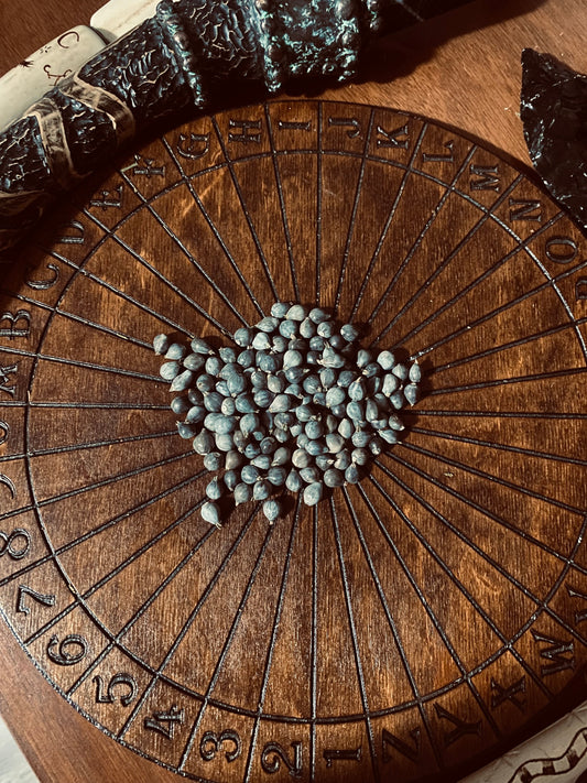 Job’s Tears