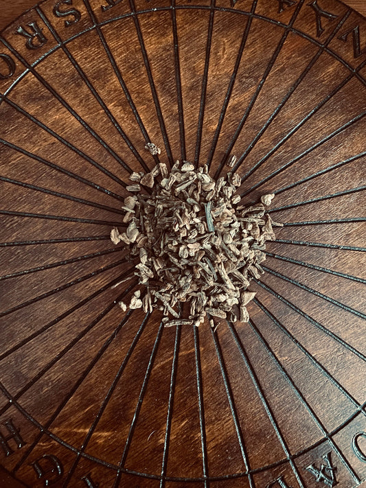 Angelica Root