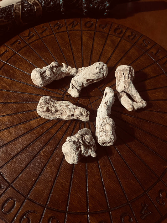 Whole Angelica Root