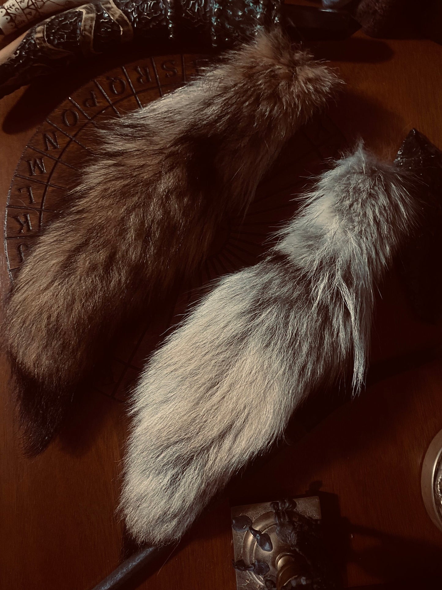Coyote Tail