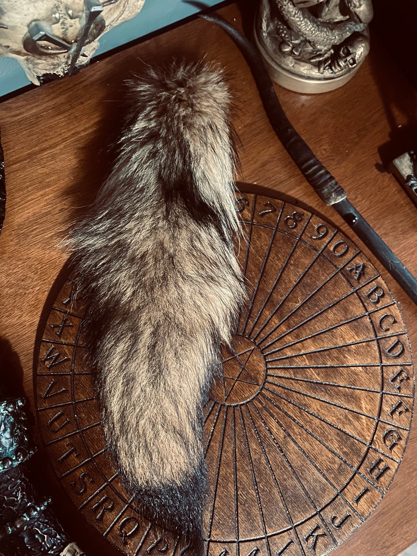 Coyote Tail