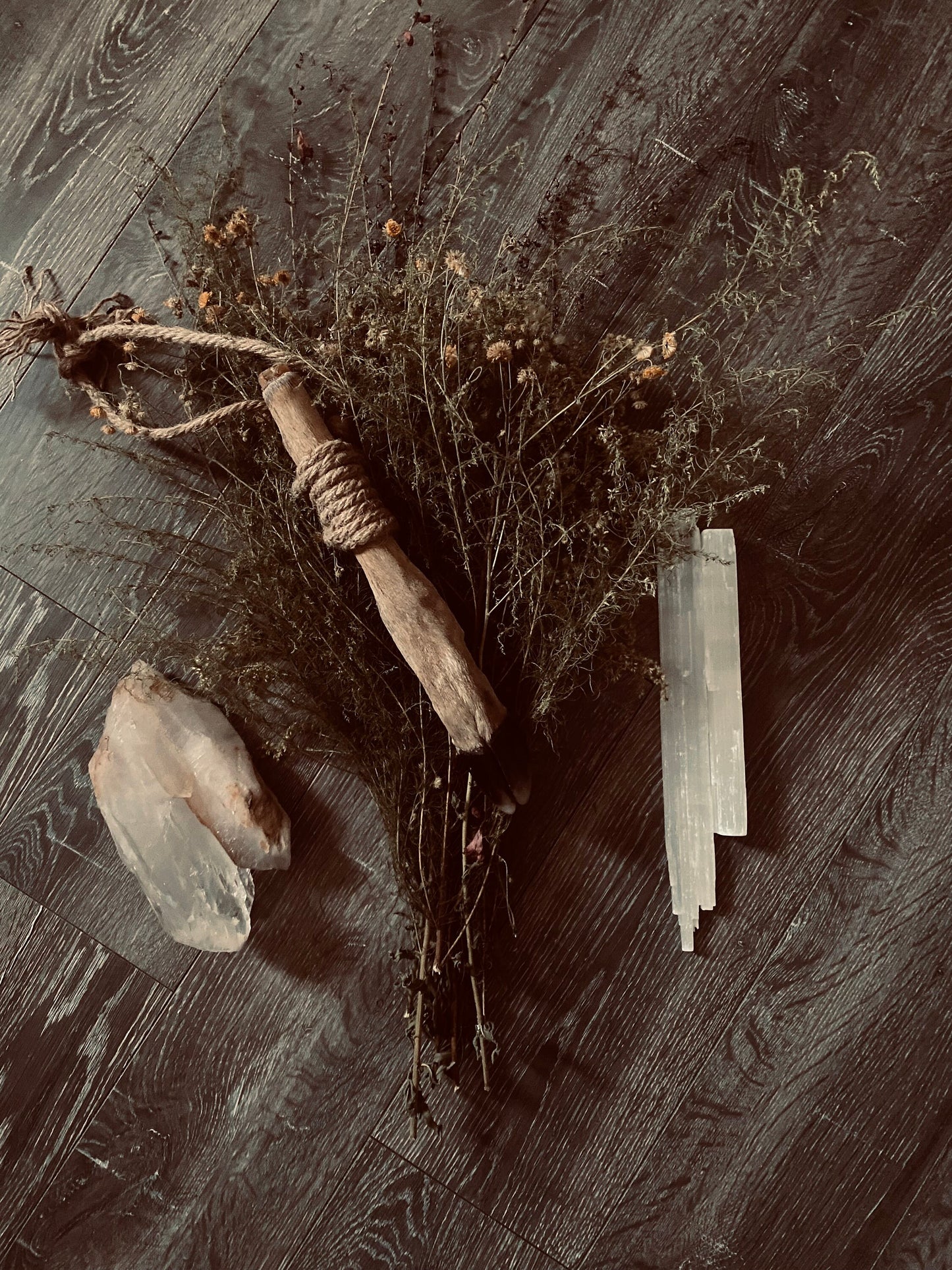Preserved Deer Leg